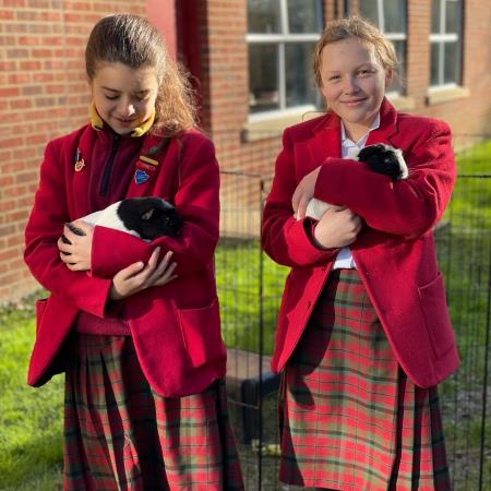 Pet Care Club